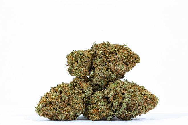 CITRAL GLUE-weed-strain-buy-online-canada-