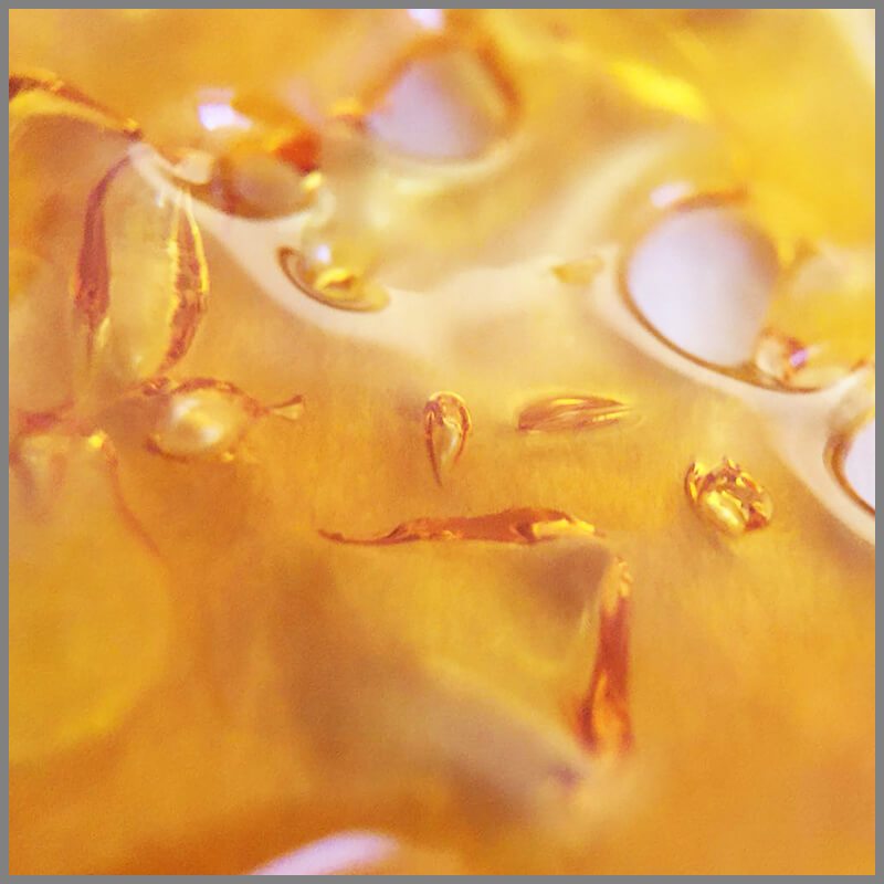 Exclusive Extracts - Girl Scout Cookie Shatter