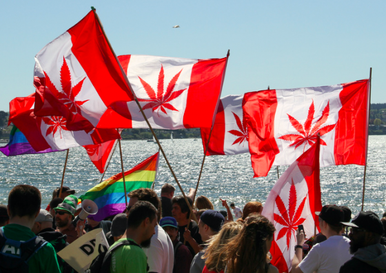Marijuana March Vancouver 2013