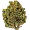 Slurricane (AA) Weed of Doobdasher, Canada