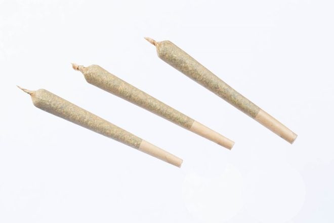 Pre-Rolled Co. - King-Size Pre-Roll (3 Pack)