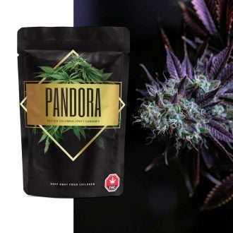 Pandora Cannabis : Premium OG Kush of Doobdasher, Canada