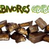 Herbivore Chocolates Edibles