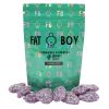Fat Boy Edibles 300mg THC Gummies of Doobdasher, Canada