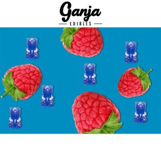 Ganja Bears Blue Raspberry Gummies 150mg THC of Doobdasher, Canada