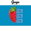 Ganja Bears Sour Blue Raspberry 150mg THC of Doobdasher, Canada