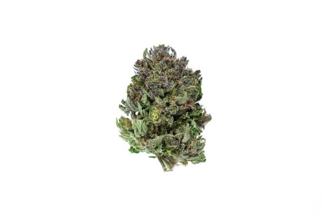 Purple Urkle (AAA) Weed of Doobdasher, Canada