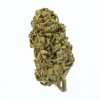 Hashplant (AA) Weed of Doobdasher, Canada