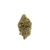 Snow Bud (AA) Weed of Doobdasher, Canada